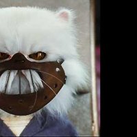 Comme chiens et chats - La Revanche de Kitty Galore - Extrait 9 - VO - (2010)