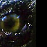 10 000 - Extrait 7 - VF - (2008)