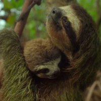 Un nouveau jour sur Terre - Extrait 8 - VF - (2017)