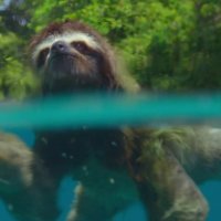 Un nouveau jour sur Terre - Teaser 2 - VF - (2017)