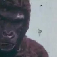 The New King Kong - bande annonce - VO - (1976)