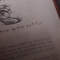 Les Animaux fantastiques - Les crimes de Grindelwald - teaser - VO - (2018)