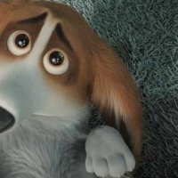 Royal Corgi - Bande annonce 1 - VF - (2018)
