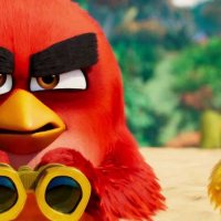 Angry Birds : Copains comme cochons - Bande annonce 1 - VF - (2019)