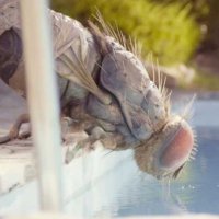 Mandibules - Teaser 2 - VF - (2020)