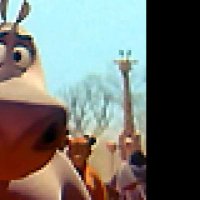 Madagascar 2 - Extrait 20 - VO - (2008)