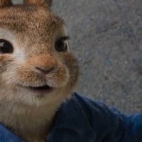 Pierre Lapin 2 : Panique en ville - Bande annonce 2 - VF - (2021)