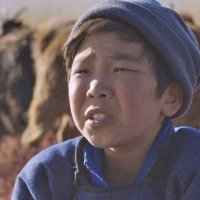 Les Racines du monde - Bande annonce 2 - VF - (2019)