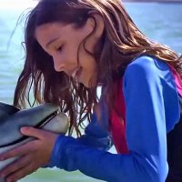 Bernie The Dolphin - Bande annonce 1 - VO - (2018)