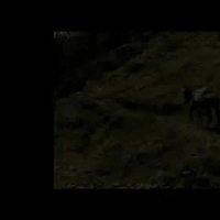 La Vie est un miracle - Extrait 3 - VF - (2004)