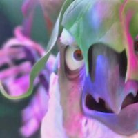 Rio 2 - Extrait 15 - VF - (2014)