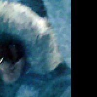 Whiteout - Extrait 11 - VO - (2009)