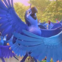Rio 2 - Extrait 16 - VF - (2014)