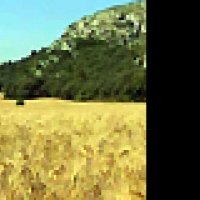 Moi, Van Gogh - Extrait 6 - VF - (2008)