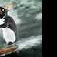 Les Rois de la glisse - Extrait 11 - VF - (2007)