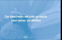 Ces chercheurs ont créé un vaccin pour sauver les abeilles