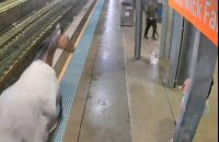 En Australie, un cheval de course surprend les usagers d'une gare