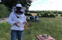 Installation du premier piège du sud de l'Aisne contre les frelons asiatiques