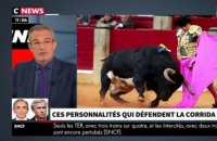 Morandini Live - Laurent Weil défend la corrida : "C'est l'école de la vie" (vidéo)