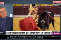 Morandini Live - Laurent Weil défend la Corrida : Il estime qu'elle "éduque" (vidéo)