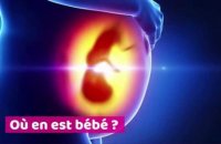 10 semaines de grossesse