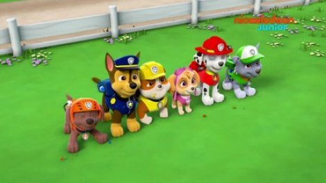 Paw Patrol : La Pat'patrouille | La Pierre De L'espace | Nickelodeon Junior  Sur Orange Vidéos