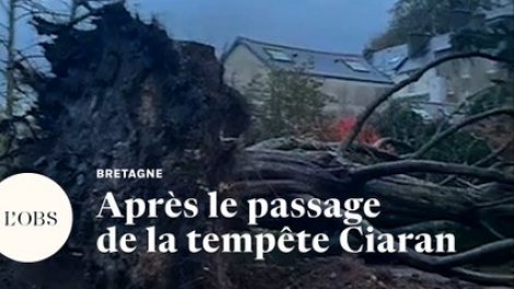 Tempête Ciaran : les dégâts en Bretagne après les puissantes
