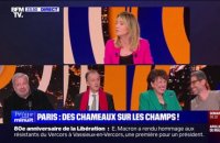 LA BANDE PREND LE POUVOIR - Paris: un défilé de chameaux sur les Champs-Élysées