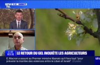 "La récolte peut être impactée dans des proportions qui vont de 20% à 80% selon l'intensité du gel", estime François Cazin, viticulteur et président de la fédération des associations viticoles