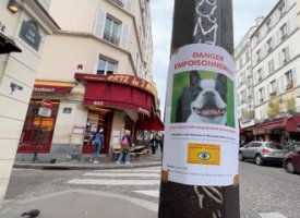 Elvis, un chihuahua de Montmartre, a-t-il été victime d’une empoisonneuse de chien ?