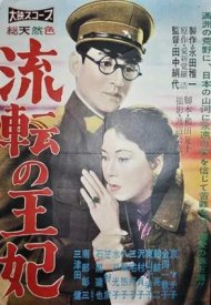 Affiche de La Princesse errante