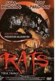 Affiche de Rats