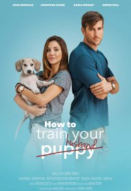 Affiche de How To Train Your Husband