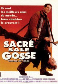 Affiche de Sacré sale gosse