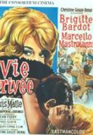 Affiche de Vie privée