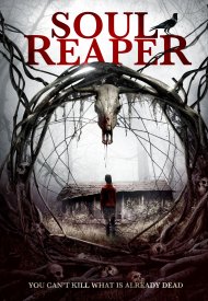 Affiche de Soul Reaper