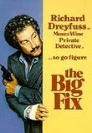 Affiche de The Big Fix