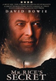 Affiche de Mr. Rice's Secret