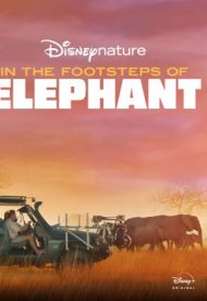 Affiche de Sur la route des éléphants