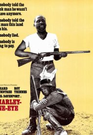 Affiche de Charley Le Borgne