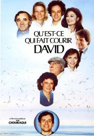 Affiche de Qu'est-ce qui fait courir David ?