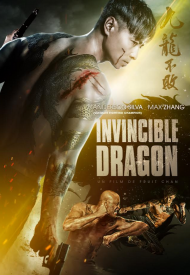 Affiche de Jiu long bu bai