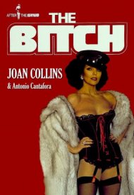 Affiche de The Bitch