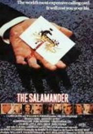 Affiche de La Salamandre