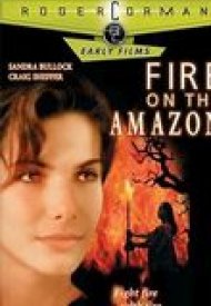 Affiche de Fire on the Amazon