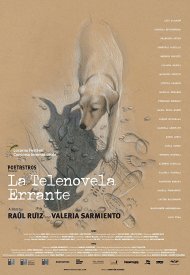 Affiche de La Telenovela Errante