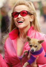 Affiche de Legally Blonde 3