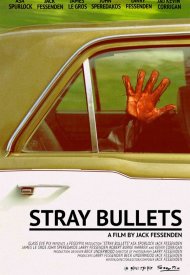 Affiche de Stray Bullets