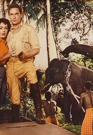 Affiche de La Piste des éléphants