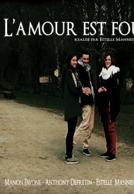 Affiche de L'Amour est fou